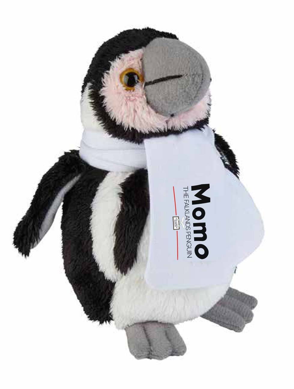 Momo the Falklands Penguin